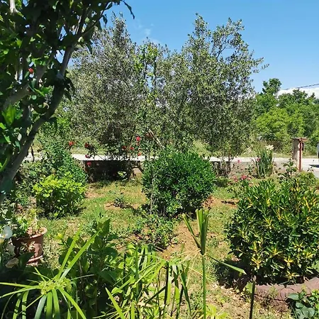 Apartman Mela *